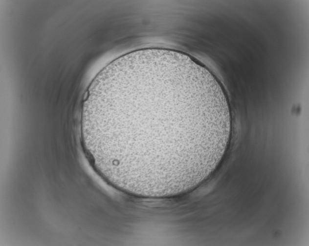 X0000112531391200909141236