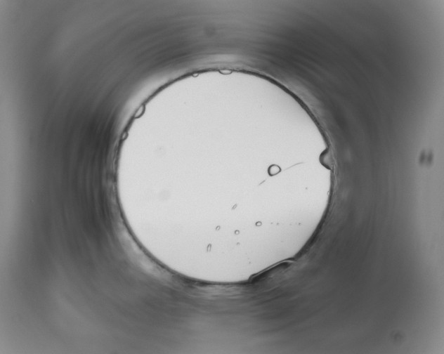 X0000112531392200909141236