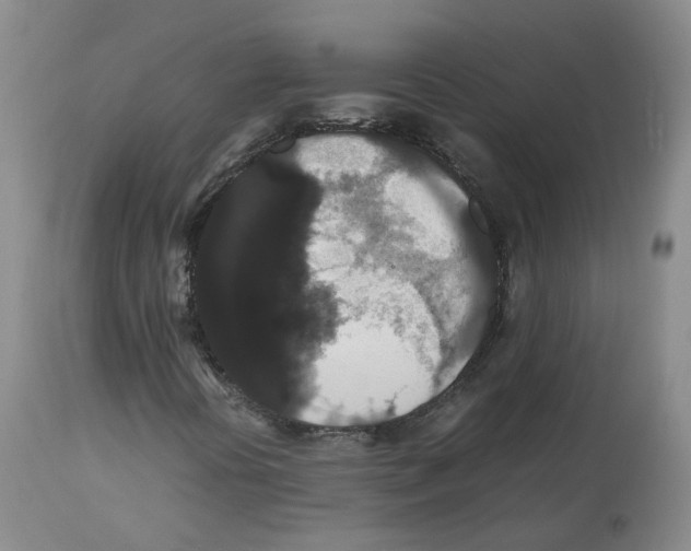 X0000112531394200909141236