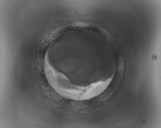 X0000112531397200909141236