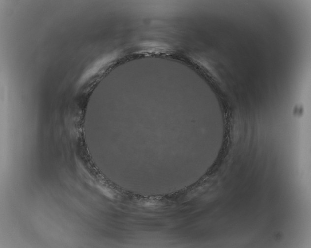 X0000112531399200909141236