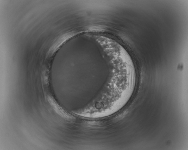 X0000112531401200909141236