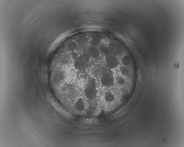 X0000112531403200909141236