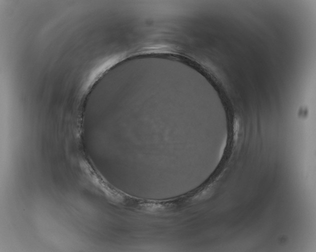 X0000112531405200909141236