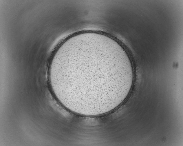 X0000112531408200909141236