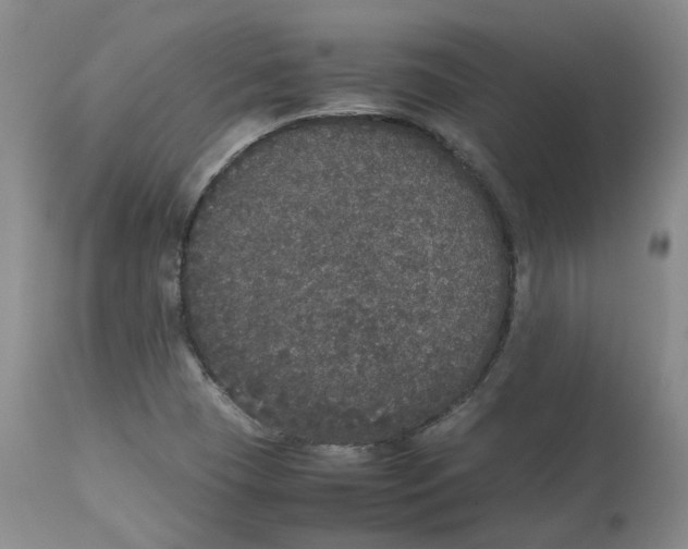 X0000112531409200909141236