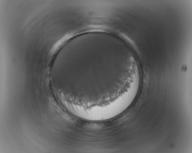 X0000112531411200909141236