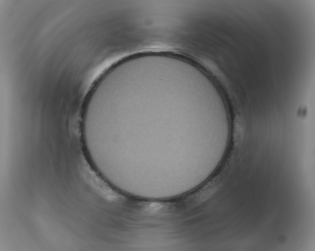 X0000112531412200909141236