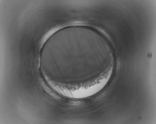 X0000112531413200909141236