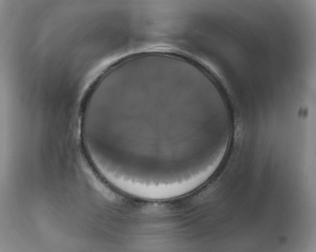 X0000112531414200909141236