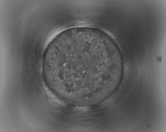 X0000112531415200909141236