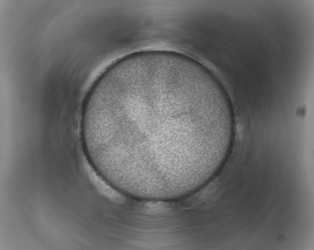 X0000112531416200909141236