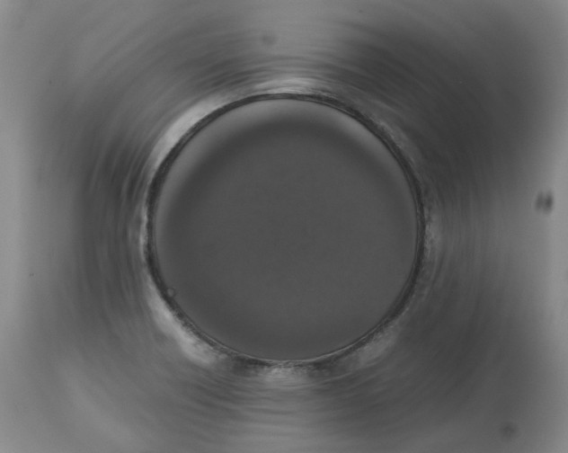 X0000112531418200909141236