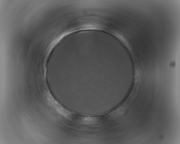 X0000112531419200909141236