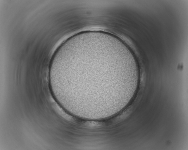 X0000112531420200909141236