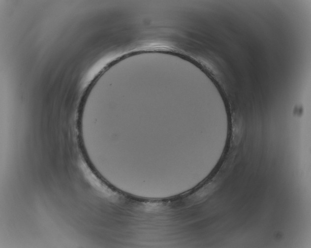 X0000112531422200909141236