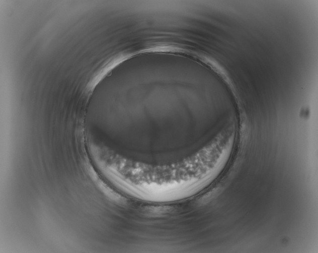 X0000112531425200909141236