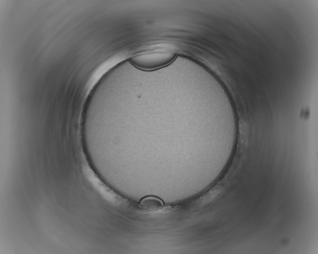 X0000112531426200909141236