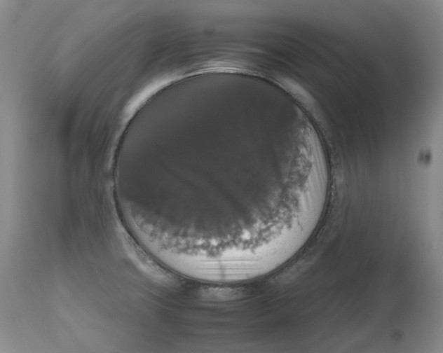 X0000112531427200909141236