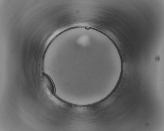 X0000112531428200909141236