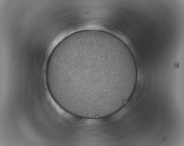 X0000112531430200909141236