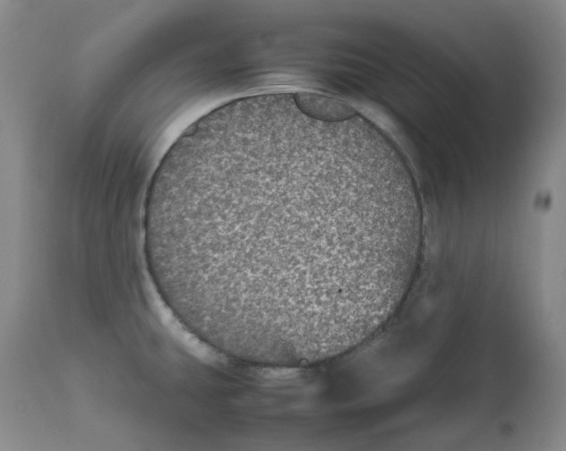 X0000112531431200909141236