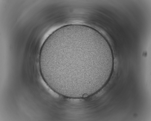 X0000112531432200909141236