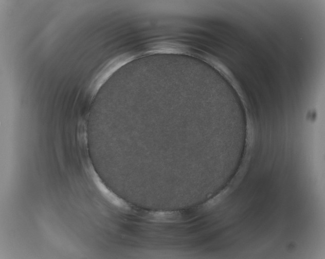 X0000112531433200909141236