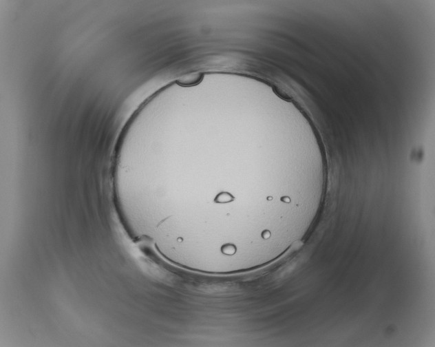 X0000112531434200909141236