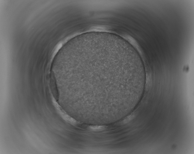 X0000112531435200909141236