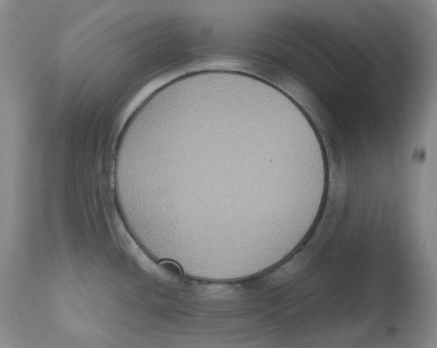 X0000112531436200909141236