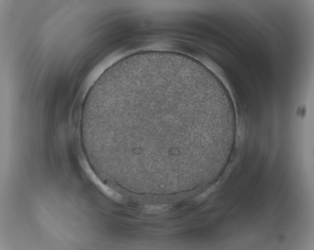 X0000112531437200909141236