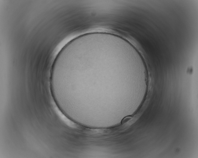 X0000112531438200909141236