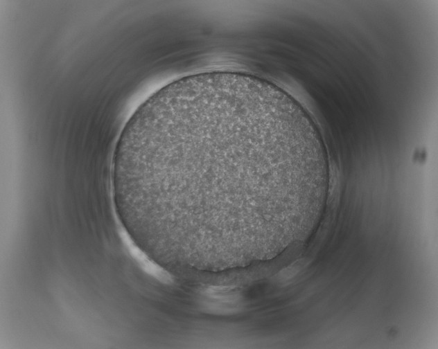 X0000112531439200909141236