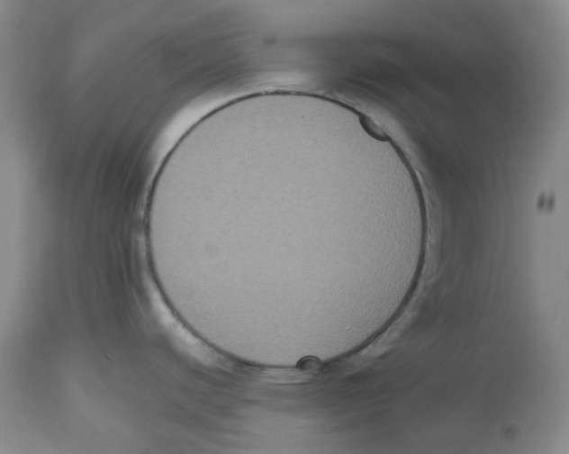 X0000112531440200909141236