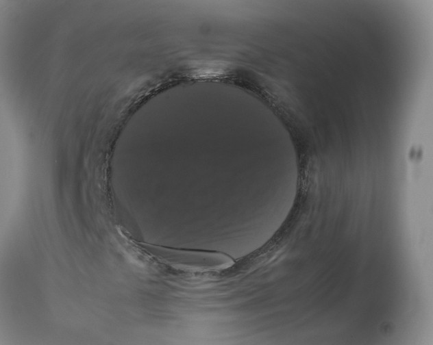 X0000112531441200909141236