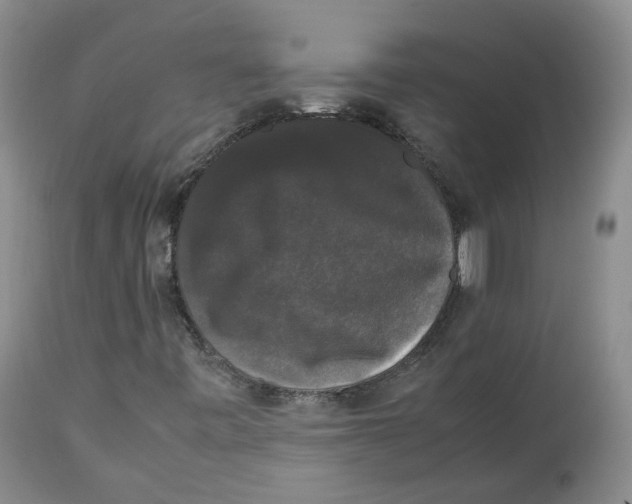 X0000112531443200909141235