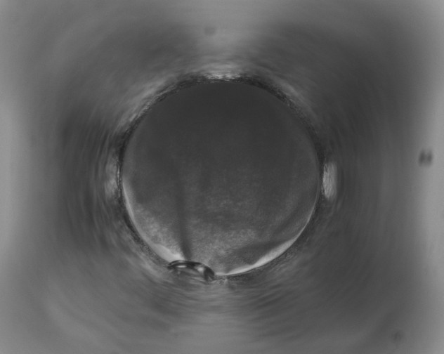 X0000112531444200909141235