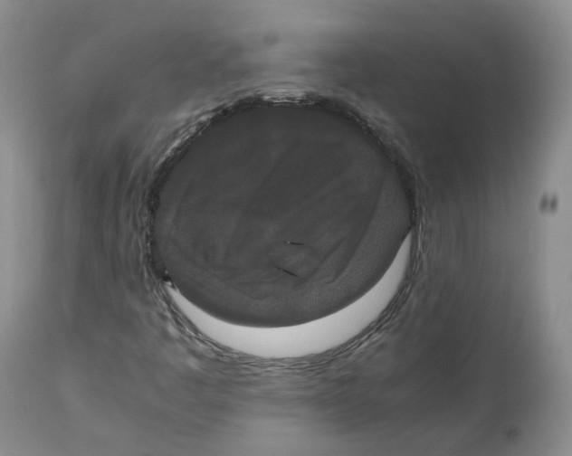 X0000112531445200909141235