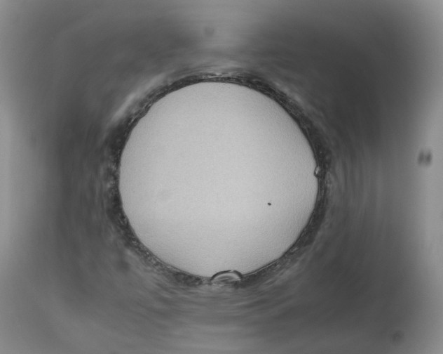 X0000112531447200909141235