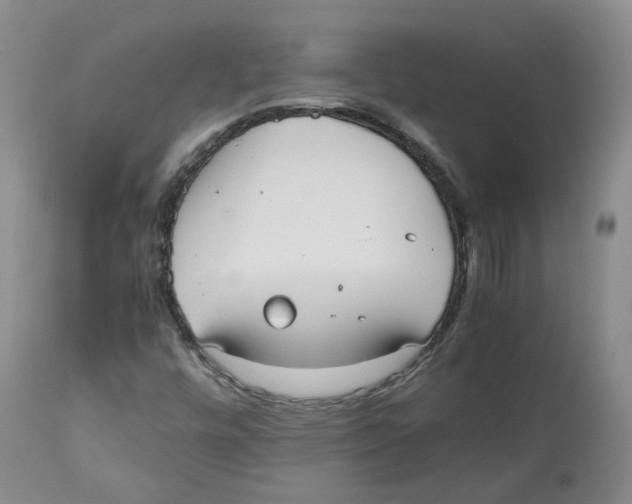 X0000112531448200909141235