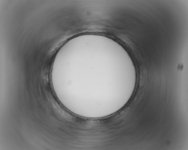 X0000112531451200909141235