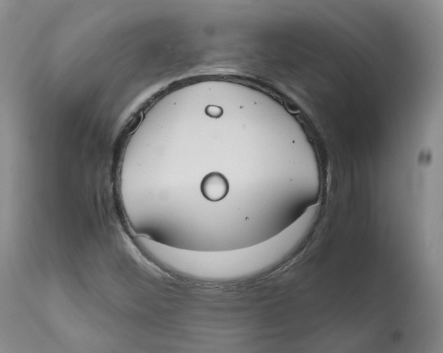 X0000112531452200909141235