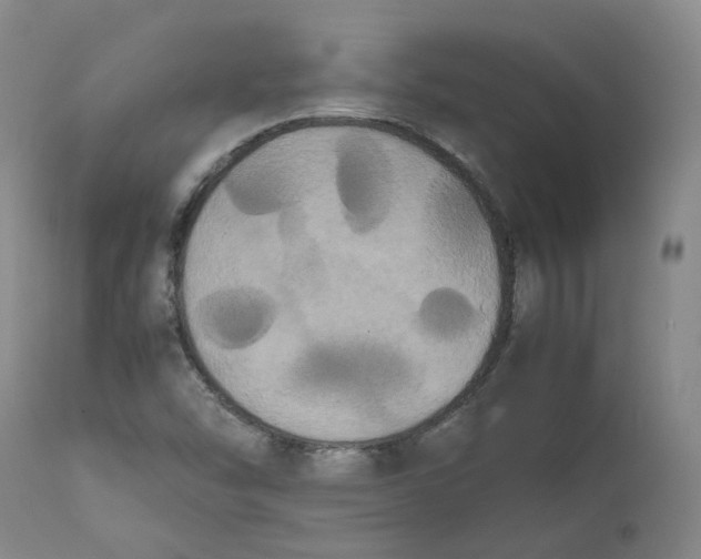 X0000112531454200909141235