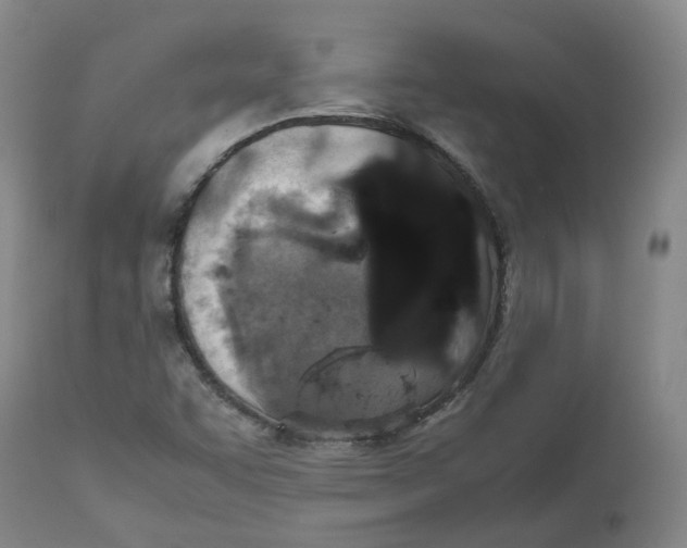 X0000112531455200909141235