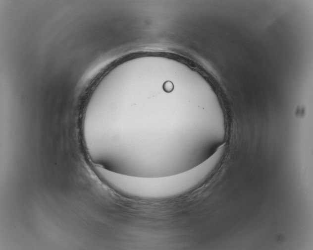 X0000112531456200909141235