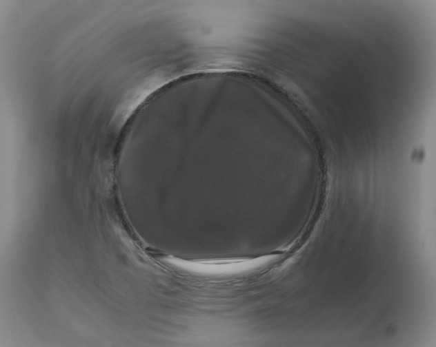 X0000112531457200909141235