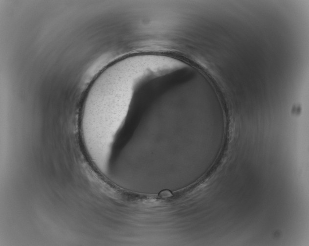 X0000112531459200909141235