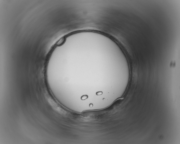 X0000112531460200909141235