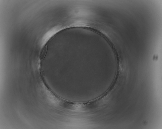 X0000112531461200909141235